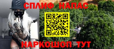 каннабис Будённовск