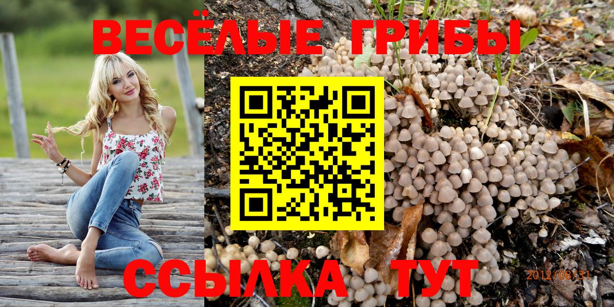 наркота  Вход с VPN  Менделеевск  Галлюциногенные грибы GOLDEN TEACHER 